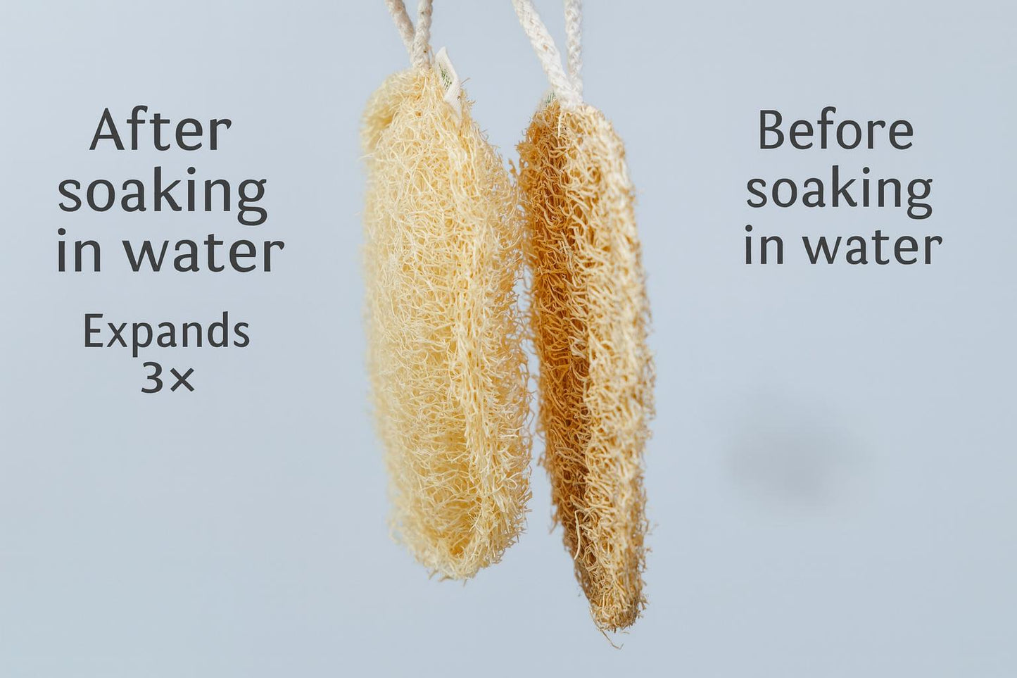 Double Layer Loofah Sponge | 100% Natural Exfoliating Bath Loofah |  Eco Friendly, Compostable