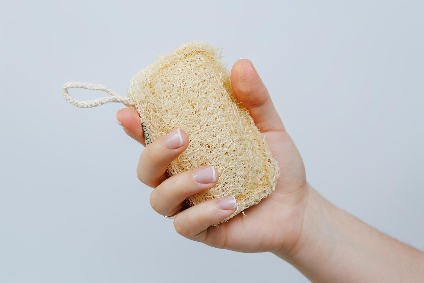 Natural Loofah Sponge Set: Exfoliating Bath & Dish Scrubber