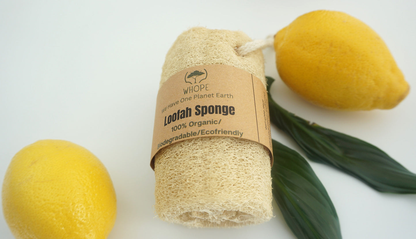 Natural Loofah Sponge: Eco-Friendly Exfoliating Scrubber
